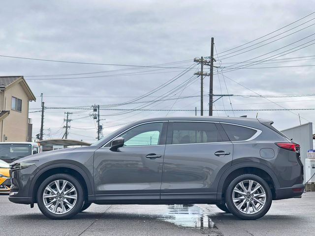 CX-8