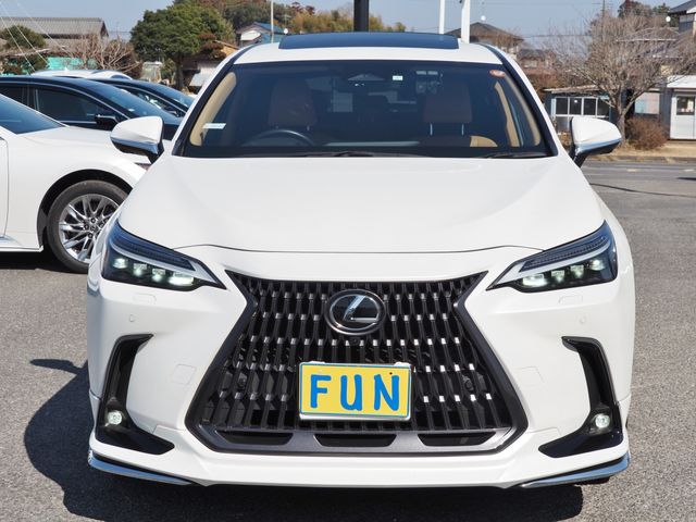 LEXUS NX450h+ AWD