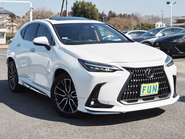 LEXUS NX450h+ AWD