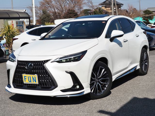 LEXUS NX450h+ AWD
