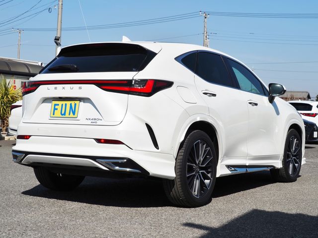 LEXUS NX450h+ AWD
