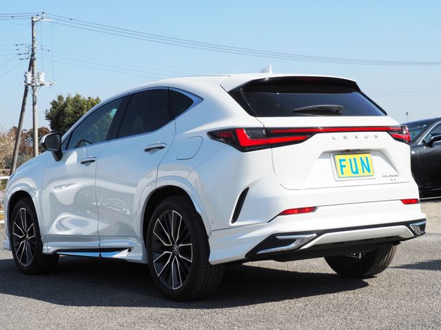 LEXUS NX450h+ AWD