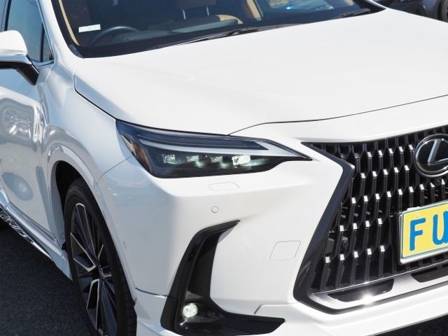 LEXUS NX450h+ AWD