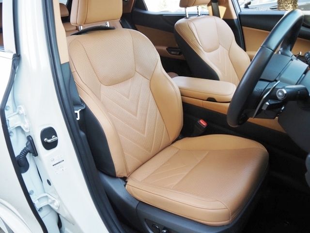 LEXUS NX450h+ AWD