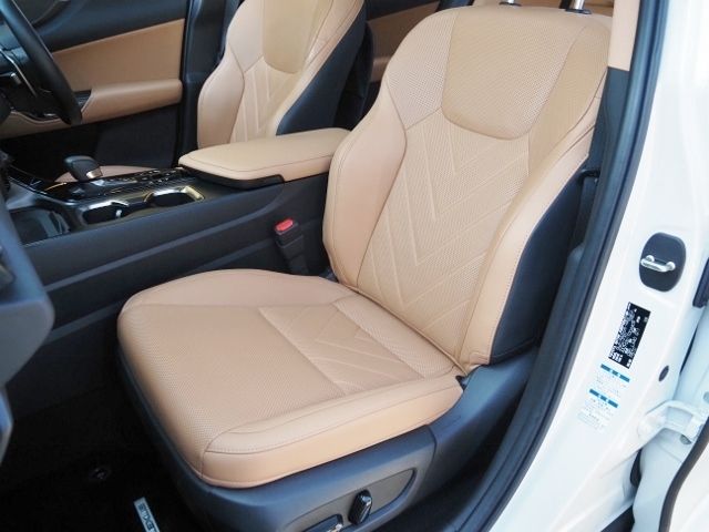LEXUS NX450h+ AWD
