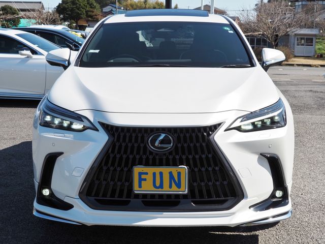 LEXUS NX350h