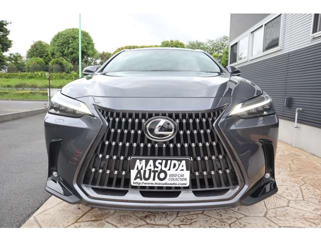 LEXUS NX250