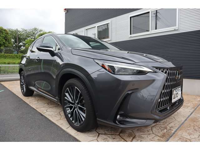 LEXUS NX250