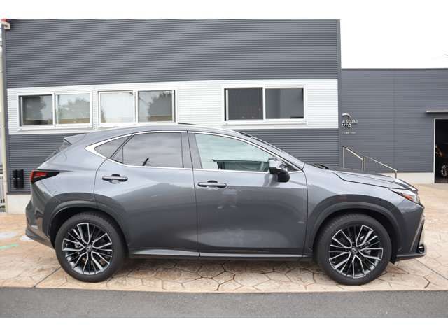 LEXUS NX250