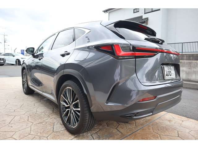 LEXUS NX250