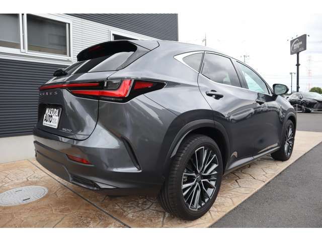 LEXUS NX250