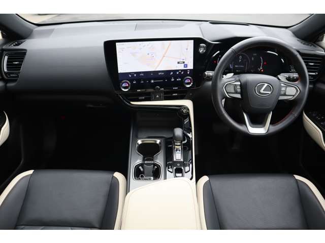 LEXUS NX250