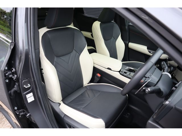 LEXUS NX250