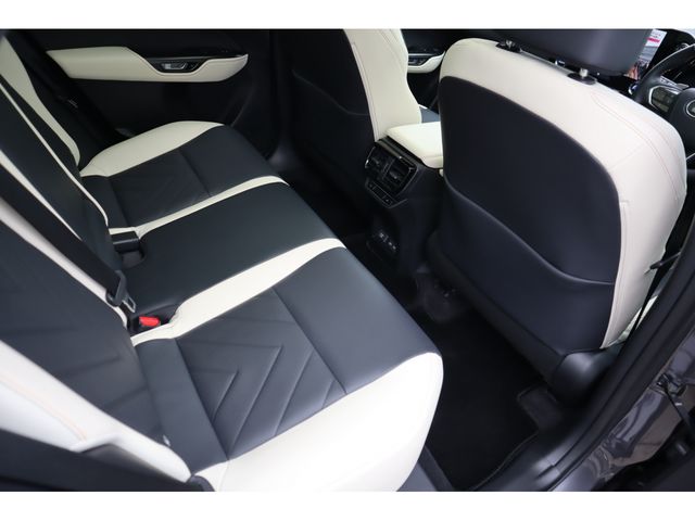 LEXUS NX250