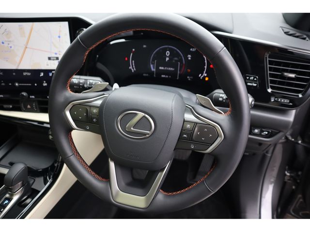 LEXUS NX250