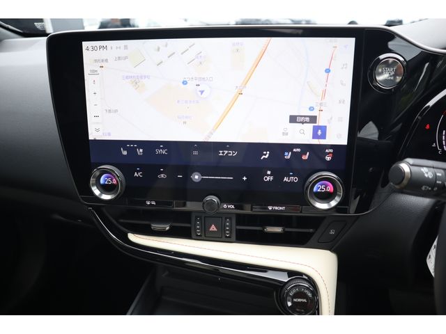 LEXUS NX250