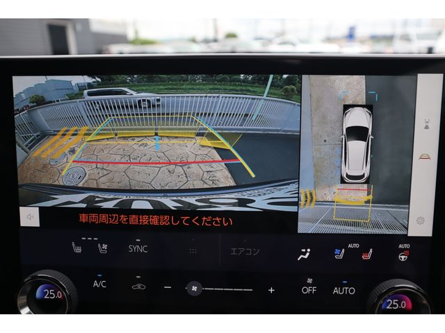 LEXUS NX250