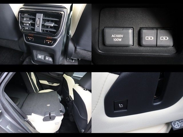 LEXUS NX250