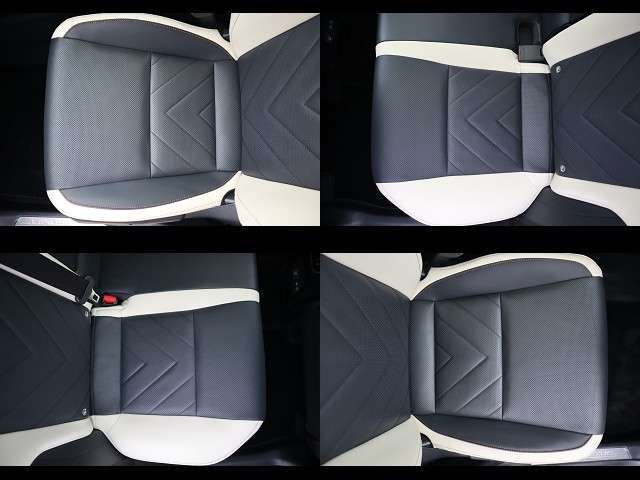 LEXUS NX250