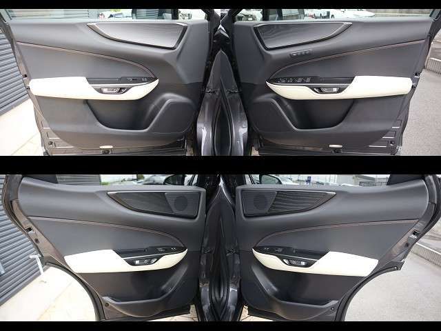 LEXUS NX250