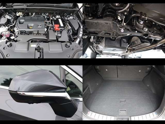 LEXUS NX250