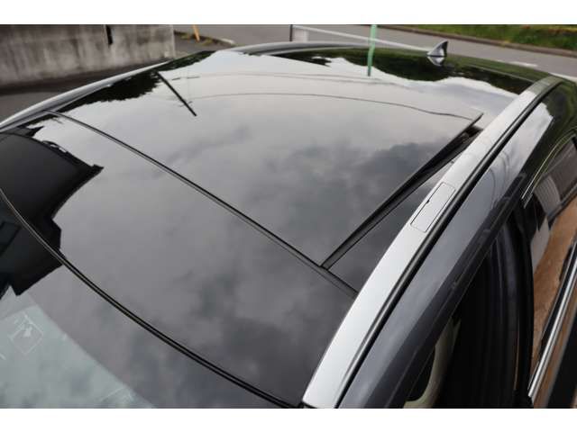 LEXUS NX250