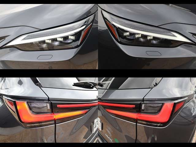 LEXUS NX250