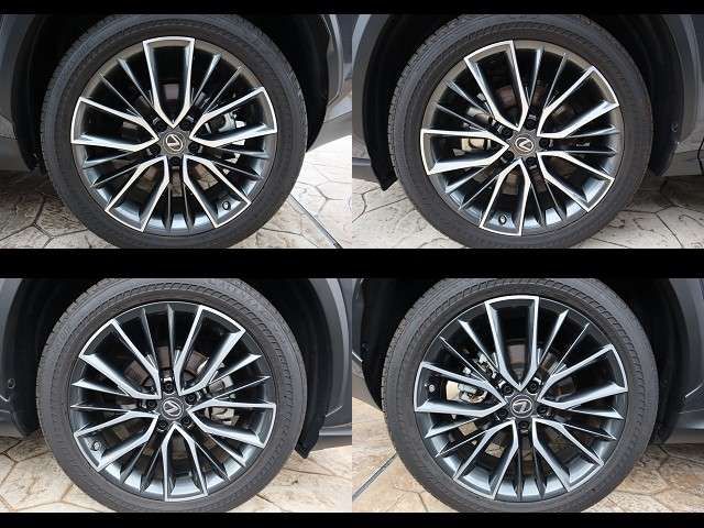 LEXUS NX250