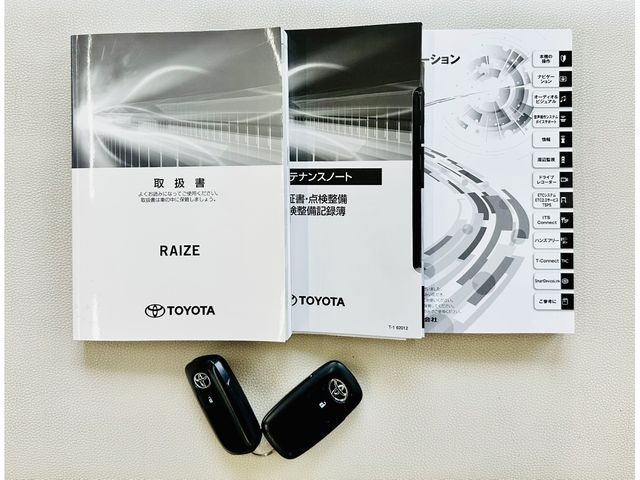 RAIZE
